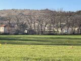 Terrain à Payrin-Augmontel  Oc Résidences