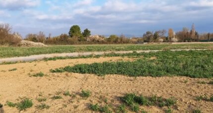 Canet Terrain à bâtir -  Oc Résidences