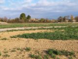 Terrain à Canet  Oc Résidences