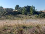 Terrain à La Palme  Oc Résidences