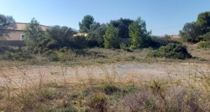 La Palme Terrain à bâtir -  Oc Résidences