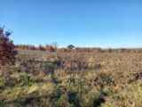 Terrain à Técou  Oc Résidences
