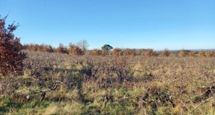 Técou Terrain à bâtir -  Oc Résidences
