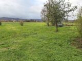 Terrain à Labruguière  Oc Résidences