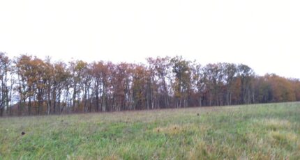 Montdurausse Terrain à bâtir -  Oc Résidences