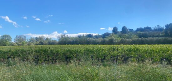 Terrain à bâtir à Ginestas, Occitanie