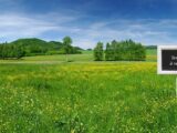 Terrain à Dourgne  Oc Résidences