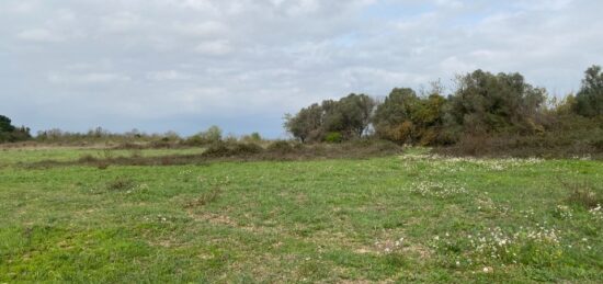 Terrain à bâtir à Salles-d'Aude, Occitanie
