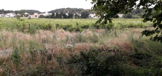 Terrain à bâtir à Saint-Laurent-de-la-Cabrerisse, Occitanie