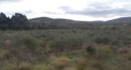 Saint-Laurent-de-la-Cabrerisse Terrain à bâtir -  Oc Résidences
