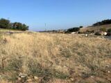 Terrain à Carlus  Oc Résidences