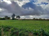 Terrain à Gaillac  Oc Résidences