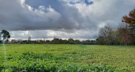 Gaillac Terrain à bâtir -  Oc Résidences