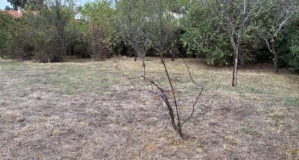Lagarrigue Terrain à bâtir -  Oc Résidences