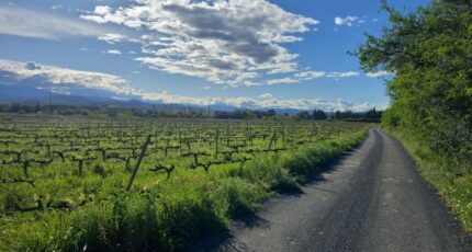 Ponteilla Terrain à bâtir -  Oc Résidences