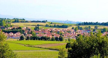 Saint-Jean-Lasseille Terrain à bâtir -  Oc Résidences