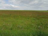 Terrain à bâtir Moulins-sur-Yèvre (18390)  Oc Résidences