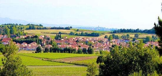 Maison neuve à Saint-Jean-Lasseille, Occitanie