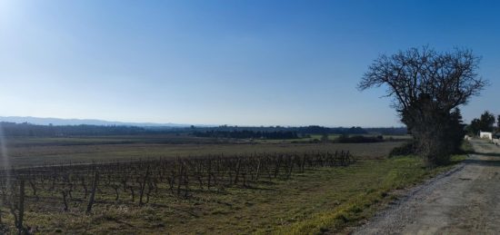 Terrain à bâtir à , Aude