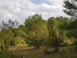 Terrain à bâtir à Carcassonne (11000) 1664725-4183annonce320230818uxPRe.jpeg Oc Résidences