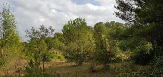 Terrain à bâtir à , Aude