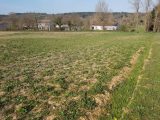 Terrain à bâtir à Vaudreuille (31250) 1667184-3185annonce120230824fbFHl.jpeg Oc Résidences