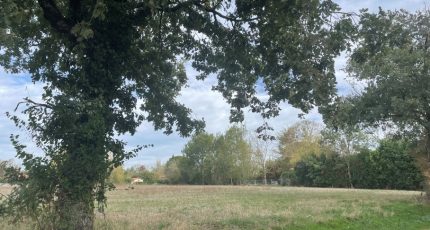 Sorèze Maison neuve - 1667041-3185annonce1202308244ix7c.jpeg Oc Résidences
