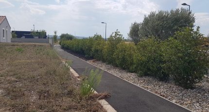Alzonne Maison neuve - ftab_terrain_ALZONNE_1661174049.jpg Oc Résidences
