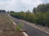 CM-00524 ftab_terrain_ALZONNE_1661174049.jpg Oc Résidences