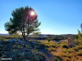 Terrain à bâtir à Cazedarnes (34460) 1688281-10071annonce120230925ghzdt.jpeg Oc Résidences