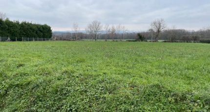 Labruguière Maison neuve - 1689778-5649annonce120230127F8pu6.jpeg Oc Résidences
