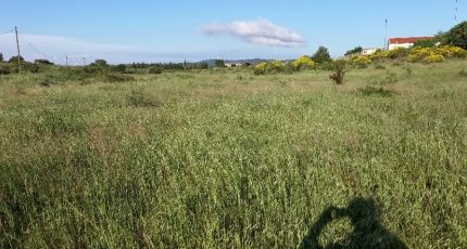 Bize-Minervois Maison neuve - 1689351-9431annonce220230926uLHlb.jpeg Oc Résidences