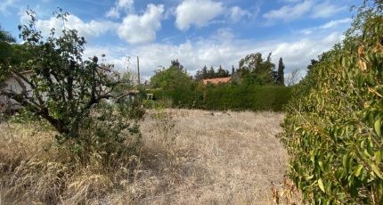 Thézan-lès-Béziers Terrain à bâtir - 1684168-10071annonce220230919EVBgn.jpeg Oc Résidences