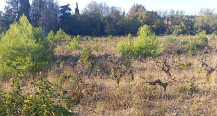Argens-Minervois Terrain à bâtir - 1701662-9431annonce120231011vNksm.jpeg Oc Résidences