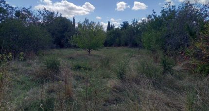 Blagnac Terrain à bâtir - 1685343-5681annonce120230920HTXVr.jpeg Oc Résidences
