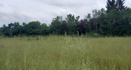 Castelmaurou Maison neuve - 1710674-10599annonce1202310247KAtv.jpeg Oc Résidences