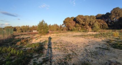 Carcassonne Maison neuve - 1714009-4183annonce320231027U8x0w.jpeg Oc Résidences