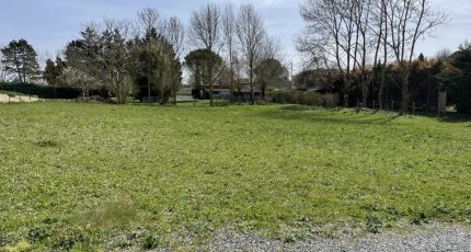 Jonquières Terrain à bâtir - 1663414-4583annonce120230403WqORF.jpeg Oc Résidences