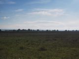 Terrain à bâtir à Rieux-Minervois (11160) 1717965-4183annonce1202311036R4iP.jpeg Oc Résidences