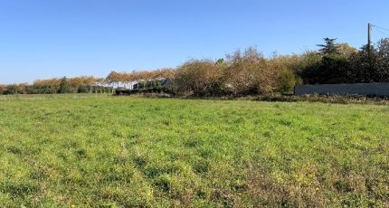 Villeneuve-Tolosane Maison neuve - 1722097-10599annonce120231108CVETK.jpeg Oc Résidences