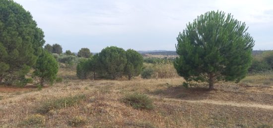 Terrain à bâtir à Marcorignan, Occitanie