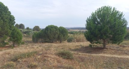 Marcorignan Maison neuve - 1720716-9431annonce120231107PgAz7.jpeg Oc Résidences
