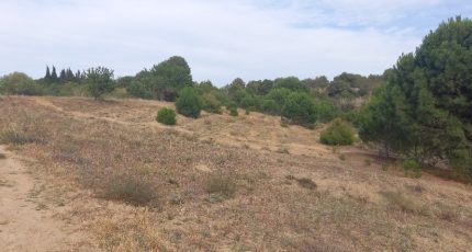 Marcorignan Maison neuve - 1720687-9431annonce120231107rzwlk.jpeg Oc Résidences