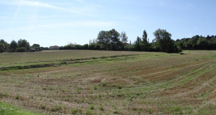 Alairac Terrain à bâtir - 1720875-4183annonce22023110746ron.jpeg Oc Résidences