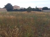 Terrain à bâtir à Saint-Nazaire-d’Aude (11120) 1730227-9431annonce120231118n8H00.jpeg Oc Résidences