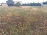 Terrain à bâtir à Saint-Nazaire-d’Aude (11120) 1730235-9431annonce120231118BTm0s.jpeg Oc Résidences
