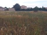 Maison à construire à Saint-Nazaire-d’Aude (11120) 1730238-9431annonce220231118VHmzZ.jpeg Oc Résidences