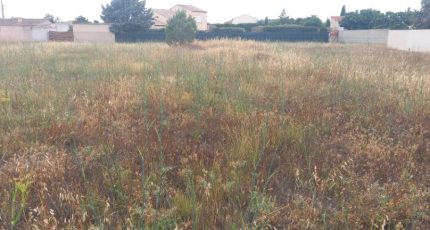 Saint-Nazaire-d'Aude Maison neuve - 1730238-9431annonce120231118BTm0s.jpeg Oc Résidences