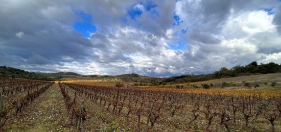 Terrain à bâtir à , Aude