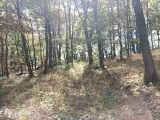 Terrain à bâtir à Buzet-sur-Tarn (31660) 1670491-4324annonce220230830piK00.jpeg Oc Résidences